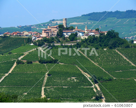 意大利Barolo Castiglione Falletto 61063807