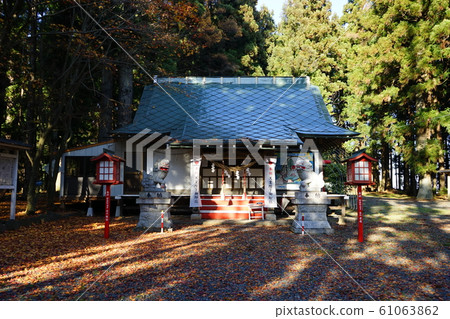 Autumn Jingaoka Park Bee Shrine 61063862