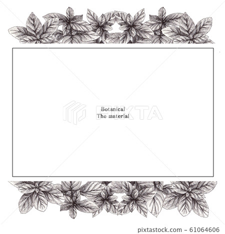 Botanical frame Botanical frame 61064606