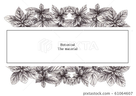 植物框架 61064607