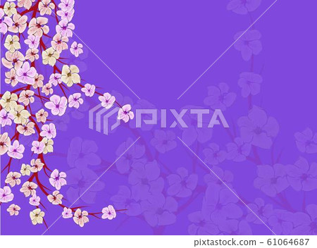 Sakura on light background. Sakura vector flower. Sakura on light background. Sakura vector flower. 61064687