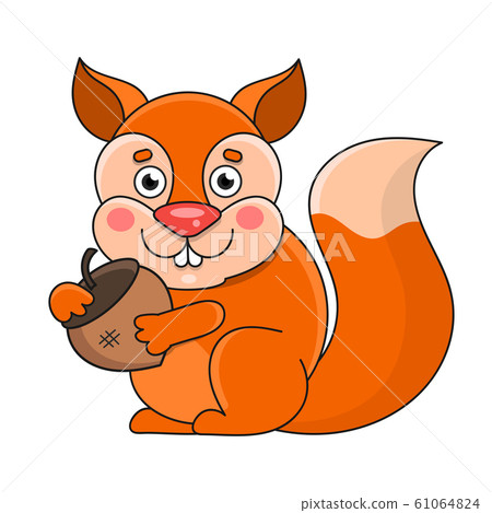 Squirrel On A White Background, Vector Squirrel On A White Background, Vector 61064824