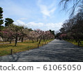 Japanese landscape (Kyoto Nijo Castle) 61065050