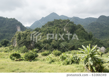 THAILAND MAE SAI THAM LUANG CAVE THAILAND MAE SAI THAM LUANG CAVE 61066349