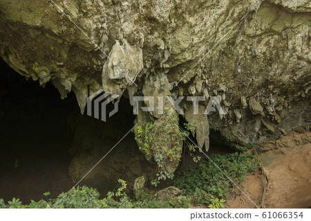 THAILAND MAE SAI THAM LUANG CAVE THAILAND MAE SAI THAM LUANG CAVE 61066354