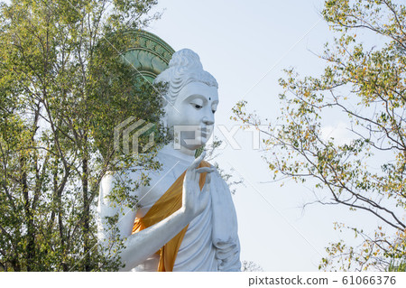 THAILAND MAE SAI WAT THAM PHA CHOM THAILAND MAE SAI WAT THAM PHA CHOM 61066376