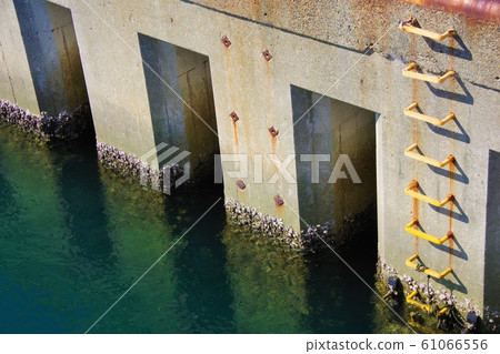 Sea, rock wall, barnacle 61066556