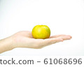hand, fruit, citrus 61068696