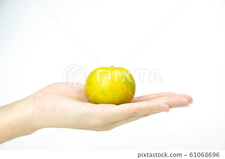 Close up Citrus in hand on white isolated background Close up Citrus in hand on white isolated background 61068696