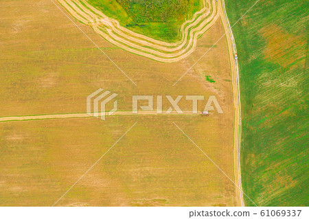 Aerial View Of Rural Landscape. Combine Harvester Working In Field, Collects Seeds. Harvesting Of Wheat In Late Summer. Agricultural Machine Collecting Golden Ripe. Bird's-eye Drone View 61069337