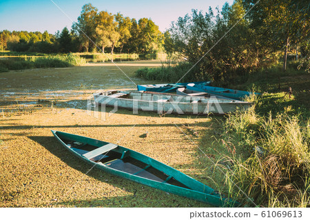 Wooden Rowing Fishing Boats Moored Near River Bog Marsh Coast In Beautiful Summer Day. Russian Nature Wooden Rowing Fishing Boats Moored Near River Bog Marsh Coast In Beautiful Summer Day. Russian Nature 61069613
