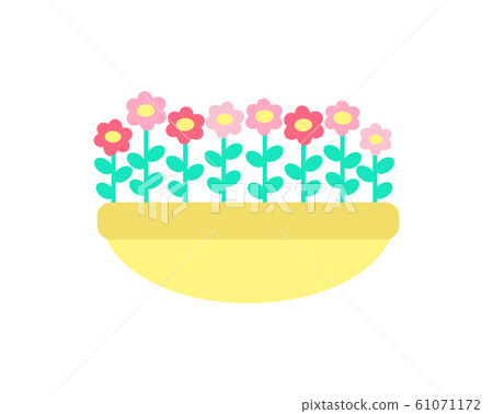 Daisies Grown in Clay Pot Vector Spring Flowers 61071172