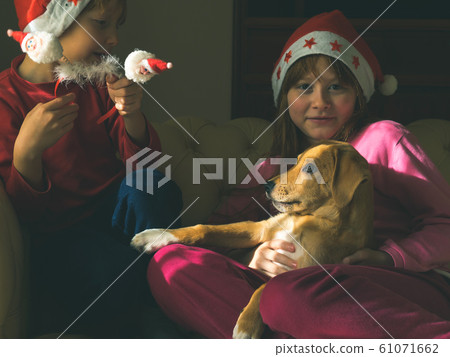 Kids in santa caps playing with cute puppy 61071662