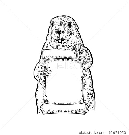 Groundhog holding poster. Engraving vintage black Groundhog holding poster. Engraving vintage black 61071950