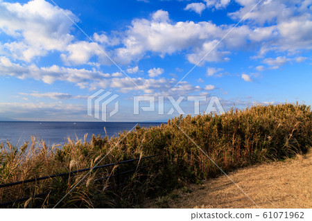 Jogashima（冬季） 61071962