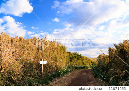 Jogashima（冬季） 61071963