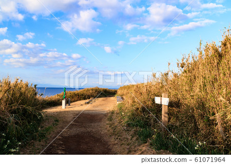 Jogashima（冬季） 61071964