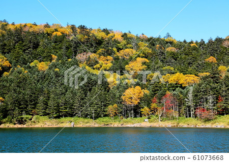 Autumn leaves of Yatsugatake Twins Pond Meike Pond 61073668