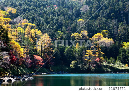 Autumn leaves of Yatsugatake Futakoike Oikeike Autumn leaves of Yatsugatake Futakoike Oikeike 61073751