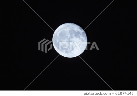Pale moon Pale moon 61074145