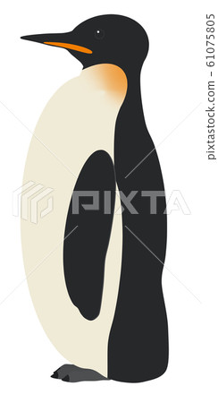 Emperor Penguin 61075805