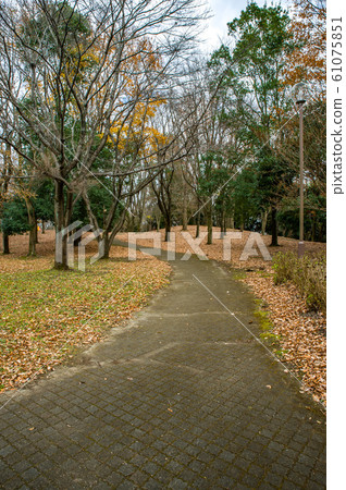 Past noon in December Scenery of deciduous leaves in Kiyohara Minami Park, Utsunomiya City, Tochigi Prefecture Past noon in December Scenery of deciduous leaves in Kiyohara Minami Park, Utsunomiya City, Tochigi Prefecture 61075851