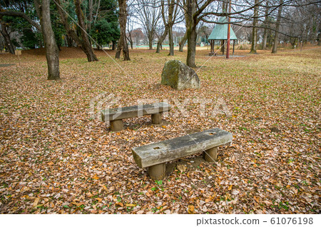 Past noon in December Scenery of deciduous leaves in Kiyohara Minami Park, Utsunomiya City, Tochigi Prefecture Past noon in December Scenery of deciduous leaves in Kiyohara Minami Park, Utsunomiya City, Tochigi Prefecture 61076198