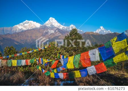 Annapurna peak and Prayer flag on poon hill, nepal Annapurna peak and Prayer flag on poon hill, nepal 61076273