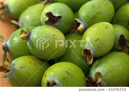 收穫的Feijoa水果,關閉 收穫的Feijoa水果,關閉 61076358
