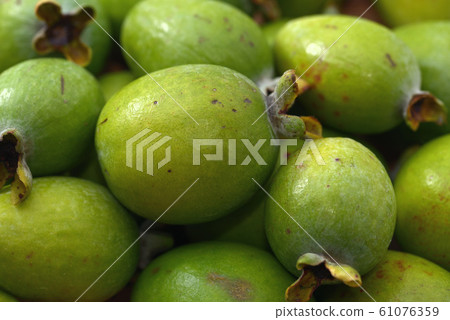 收穫的Feijoa水果，關閉 61076359