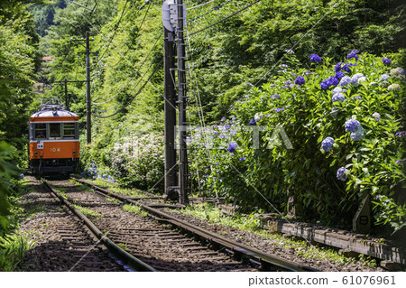 （神奈川縣）箱根登山鐵道Ajisai火車 61076961