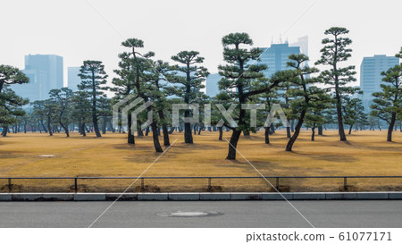 Imperial Palace Gardens Imperial Palace Gardens 61077171