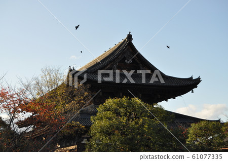 東寺的大廳 東寺的大廳 61077335