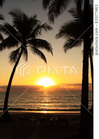 Palm Cove_Sunset @ Allamanda Palm Cove 61077463
