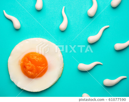Sperm competition go to fried egg 61077590