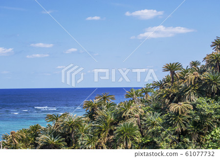 ami美大島山 ami美大島山 61077732