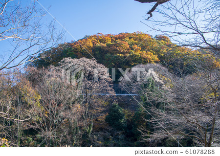 本莊市麻瀨湖湖畔深秋風景 本莊市麻瀨湖湖畔深秋風景 61078288