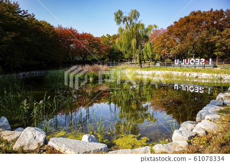 Scenery 61078334