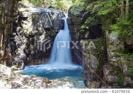 晚上森林公園 61079838