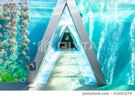 Aquamarine Fukushima Aquamarine Fukushima 61081074