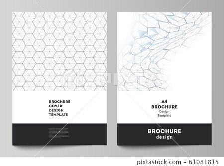 Vector layout of A4 format cover mockups design templates for brochure, flyer. Digital technology and big data concept with hexagons, connecting dots and lines, polygonal science medical background. Vector layout of A4 format cover mockups design templates for brochure, flyer. Digital technology and big data concept with hexagons, connecting dots and lines, polygonal science medical background. 61081815