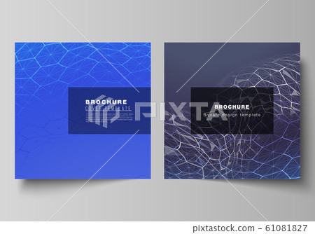 Vector layout of two square format covers design templates for brochure, flyer. Digital technology and big data concept with hexagons, connecting dots and lines, polygonal science medical background. Vector layout of two square format covers design templates for brochure, flyer. Digital technology and big data concept with hexagons, connecting dots and lines, polygonal science medical background. 61081827