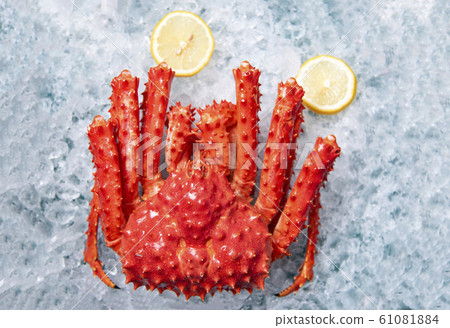 Alaskan King Crab on ice with lemon background top Alaskan King Crab on ice with lemon background top 61081884