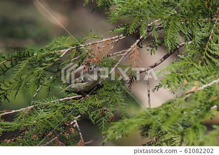 Aikita Daki Aikita Daki 61082202