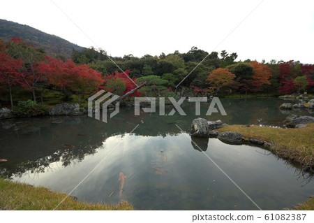 Tenryuji-Autumn Sogen Pond Tenryuji-Autumn Sogen Pond 61082387
