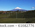 Winter tea fields and Fuji 61082776