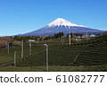 Winter tea fields and Fuji 61082777