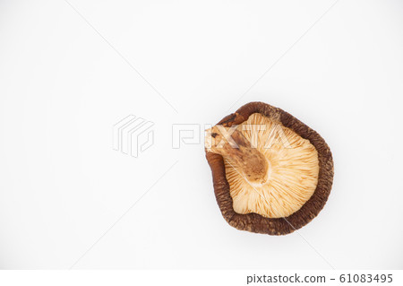 在白色背景上的干香菇 61083495