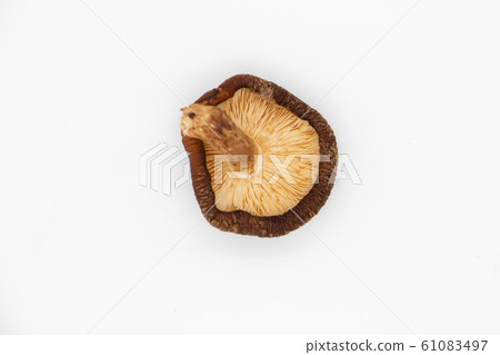 在白色背景上的干香菇 在白色背景上的干香菇 61083497