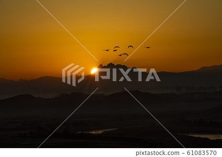 Winter morning 61083570